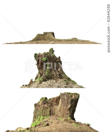 Stump dead tree isolated on white 3d illustration Stump dead tree isolated on white 3d illustration 62644289