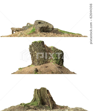 Stump dead tree isolated on white 3d illustration 62644308