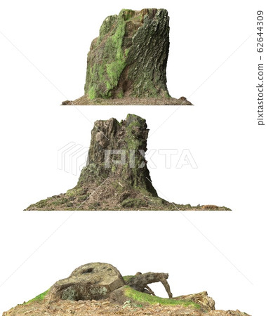 Stump dead tree isolated on white 3d illustration 62644309
