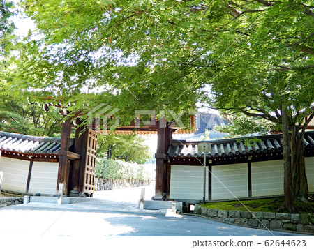 Tofukuji Temple Kusakamon Blue Maple Tofukuji Temple Kusakamon Blue Maple 62644623