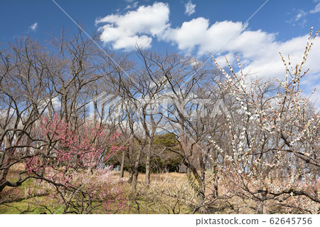 Yokohama - Negishi Forest Park Yokohama - Negishi Forest Park 62645756