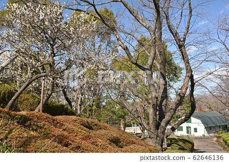 Yokohama - Negishi Forest Park Yokohama - Negishi Forest Park 62646136