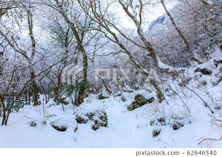 Unzen Mountain trail winter view from Momiji Chaya to Azami Valley [Unzen City, Nagasaki Prefecture] 62646540