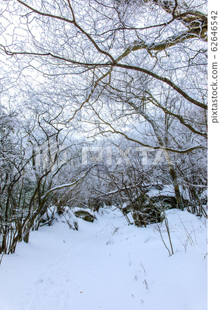 Unzen Mountain trail winter view from Momiji Chaya to Azami Valley [Unzen City, Nagasaki Prefecture] 62646542