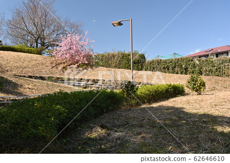 Yokohama Honmoku Summit Park 62646610