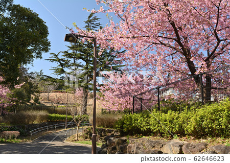 橫濱本牧頂峰公園 62646623
