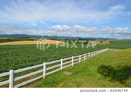 Shinei Hill（北海道美瑛町） 62646744