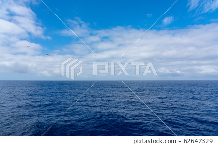 Morning of the Pacific Morning of the Pacific 62647329