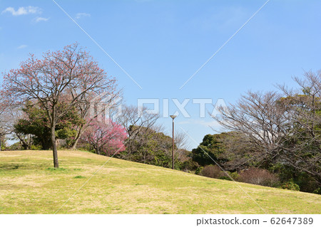 橫濱本牧頂峰公園 62647389