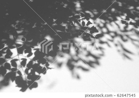 樹影，影子藝術 62647545