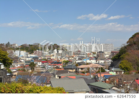 橫濱本牧頂峰公園 橫濱本牧頂峰公園 62647550