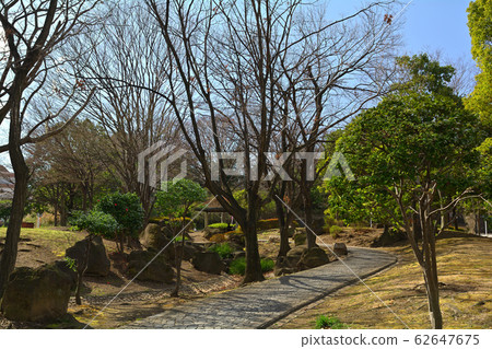 橫濱本牧公園 62647675