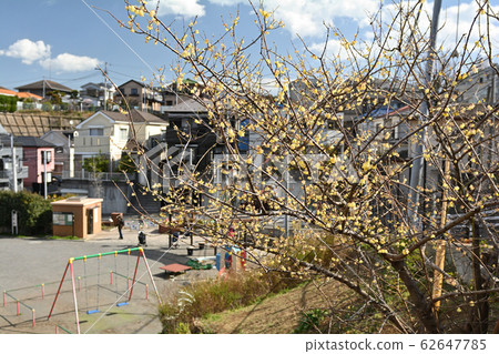 Yokohama - Yamate Yokohama - Yamate 62647785