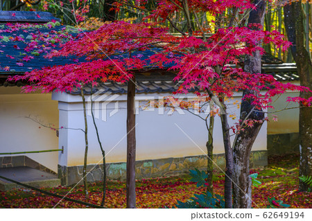 秋季京都高T院 62649194