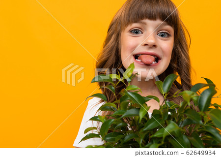Beautiful little girl in dress holds a green flower in a pot isolated on yellow or orange 62649934