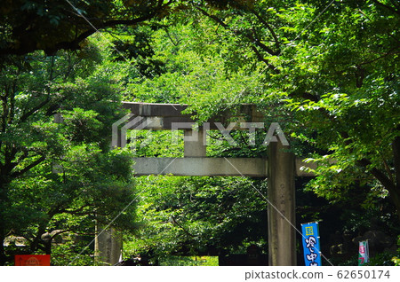 Shrine torii covered with leaves of trees 62650174