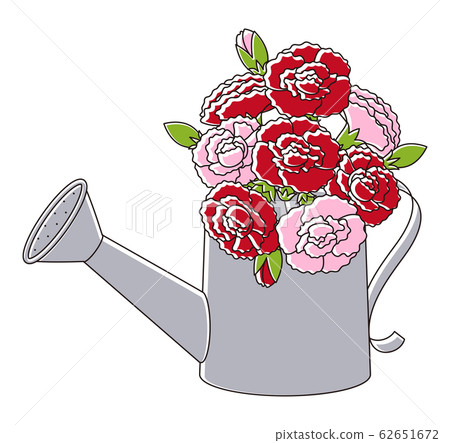 Bouquet of carnations in a watering can 62651672