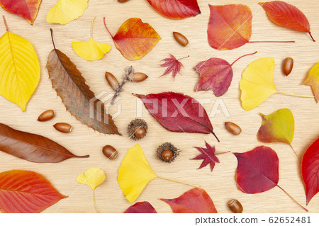 秋葉和橡子 62652481