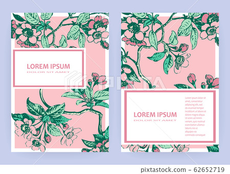 Hand drawn sakura pink blossom flowers and leaves Hand drawn sakura pink blossom flowers and leaves 62652719