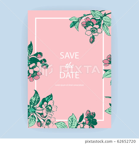 Hand drawn sakura pink blossom flowers and leaves Hand drawn sakura pink blossom flowers and leaves 62652720