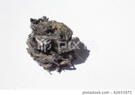 Dust, Fluff, Remnant of clothes on laundry after removing from clothing dryer on white background, Laundry machine cleaning concept, Close up and macro shot 62653975