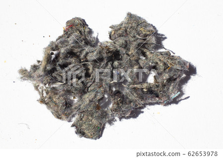 Dust, Fluff, Remnant of clothes on laundry after removing from clothing dryer on white background, Laundry machine cleaning concept, Close up and macro shot Dust, Fluff, Remnant of clothes on laundry after removing from clothing dryer on white background, Laundry machine cleaning concept, Close up and macro shot 62653978