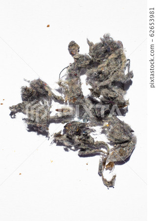 Dust, Fluff, Remnant of clothes on laundry after removing from clothing dryer on white background, Laundry machine cleaning concept, Close up and macro shot Dust, Fluff, Remnant of clothes on laundry after removing from clothing dryer on white background, Laundry machine cleaning concept, Close up and macro shot 62653981