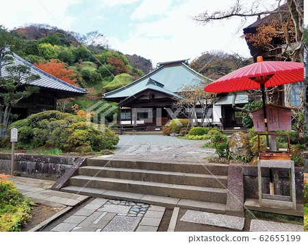 鎌倉/秋海寺寺 鎌倉/秋海寺寺 62655199