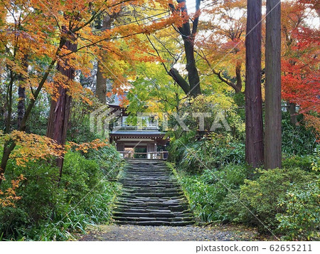 秋季的北鎌倉/地知寺 62655211