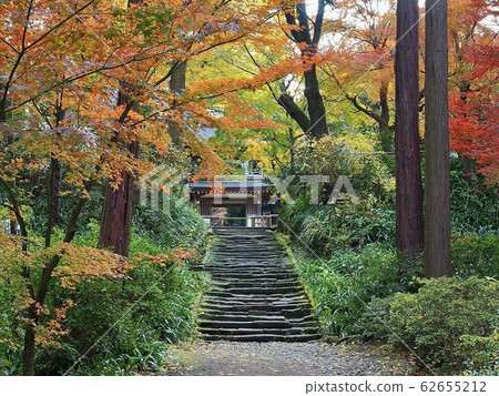 秋季的北鎌倉/地知寺 62655212