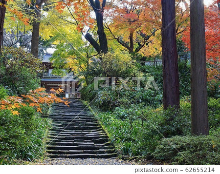 秋季的北鎌倉/地知寺 62655214