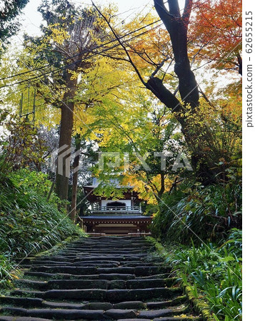 秋季的北鎌倉/地知寺 62655215