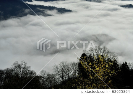 螢火蟲覆蓋了烏oz山羅比花園的羅比和長ator町的雲海 62655864