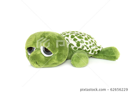 Image of green turtle doll on white background.  62656229