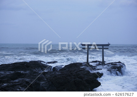 日出前的大海，鳥居和鳥類 62657627