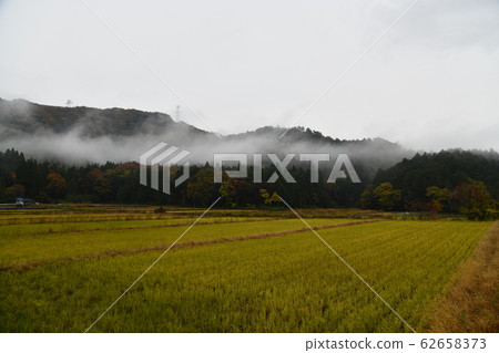 秋近江 秋近江 62658373