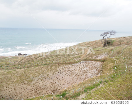 Rainbow glitter Rainbow glitter 62658995