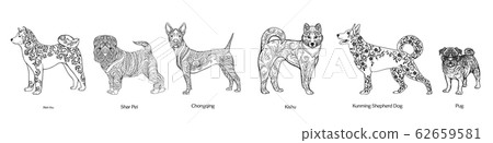 Collection of different breeds of dogs from asia. Collection of different breeds of dogs from asia. 62659581