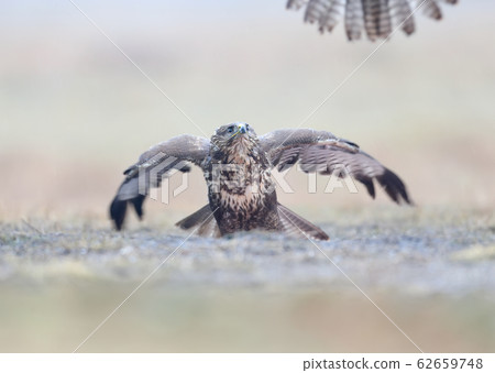 Are you sure this is your food? Are you sure this is your food? 62659748