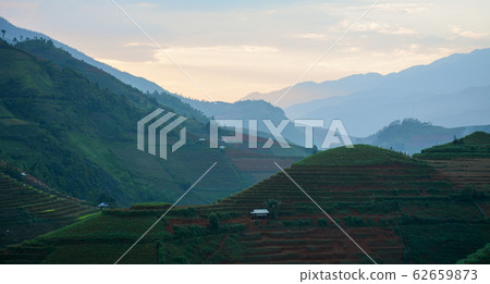 Terraced rice field in Northwest Vietnam 62659873