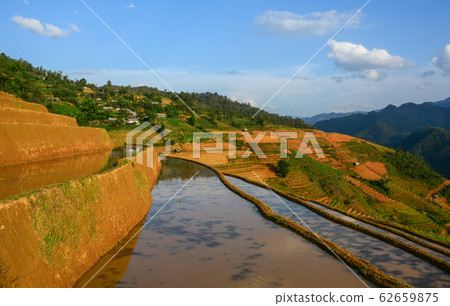 Terraced rice field in Northwest Vietnam 62659875