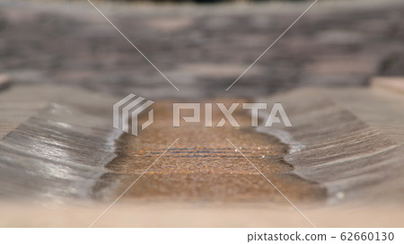 淡路市 花朵 花 62660130