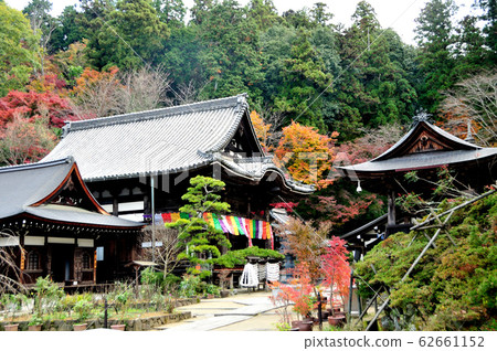 秋岡田（本館） 62661152