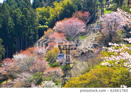吉野山 吉野山 62661760