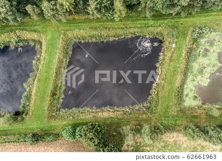 Pond of a pisciculture, aerial photo vertically 62661963
