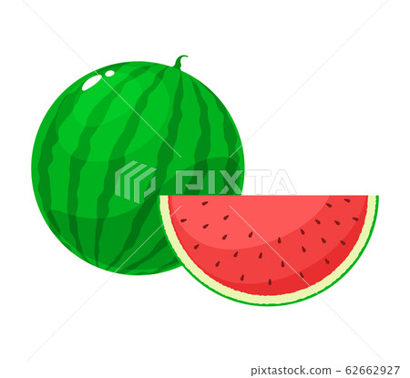 The Anatomy of Watermelon fruit. - Stock Illustration [62662927] - PIXTA