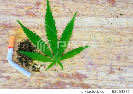 marijuana joints and buds marijuana joints and buds 62663875