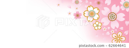 櫻花和花瓣背景模板橫幅 62664641