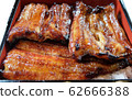 Grilled eels of eel 62666388