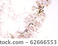 Spring image 62666553